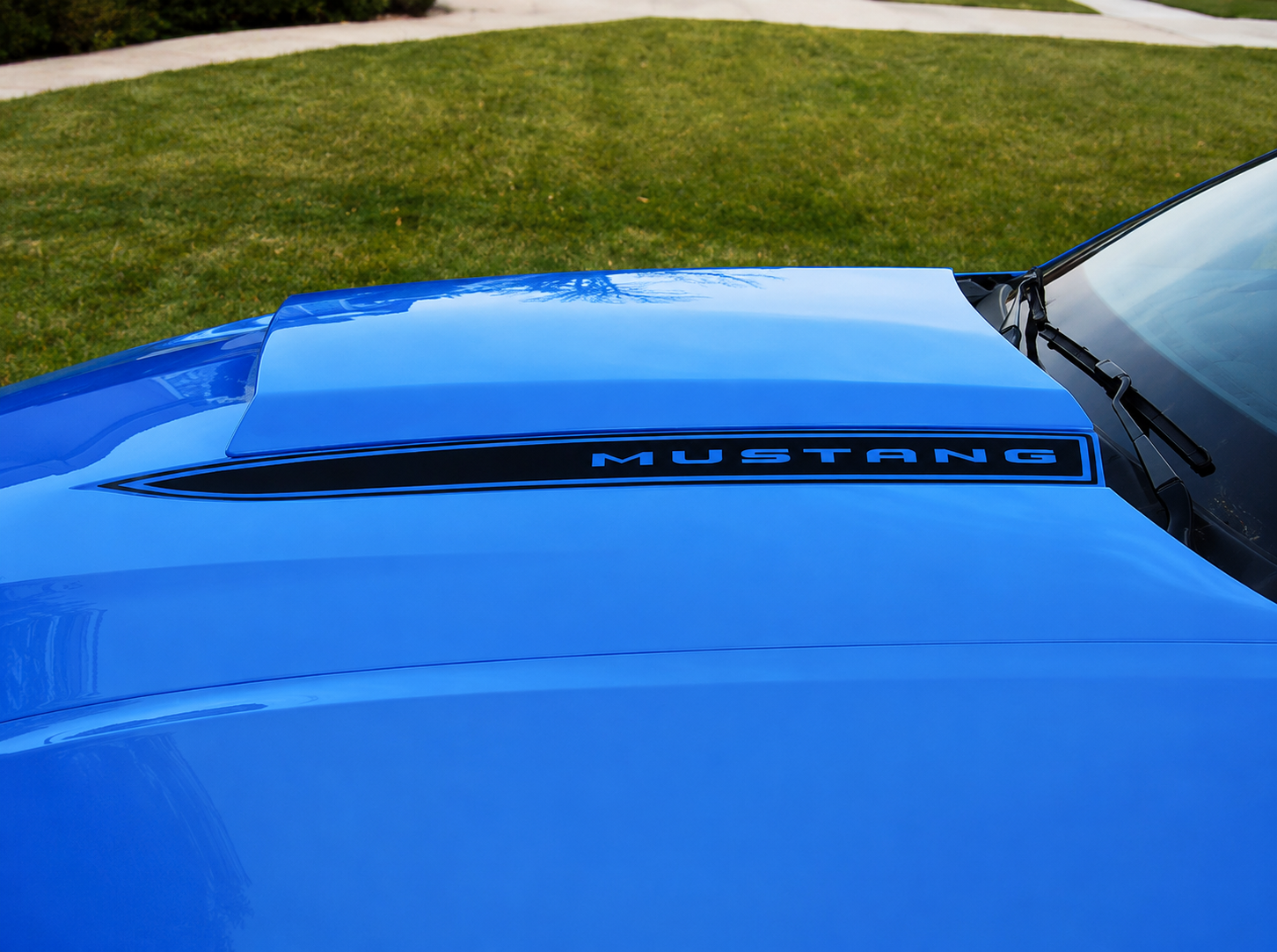 Ford Mustang gallery build